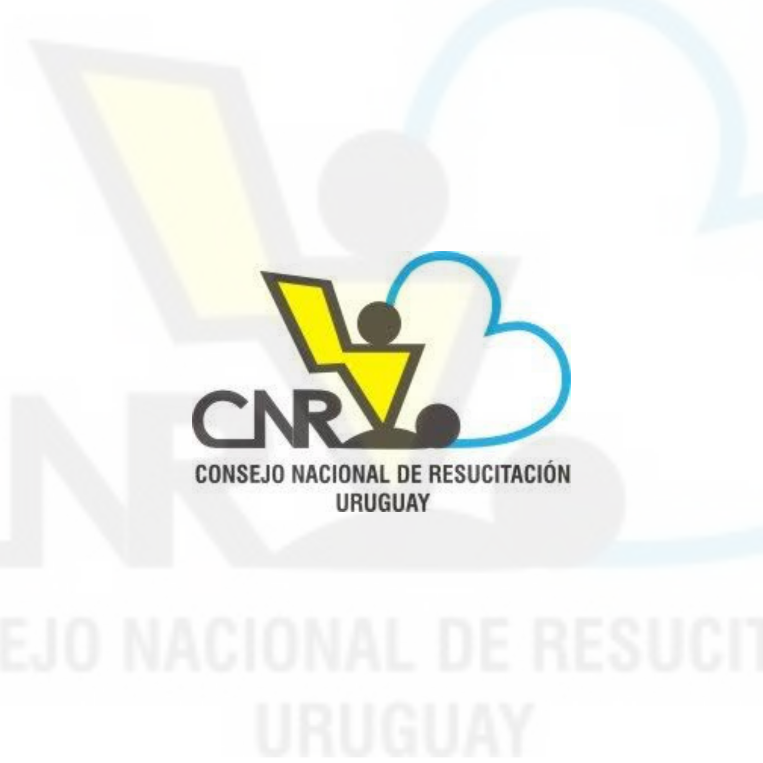 Recomendaciones del Consejo Nacional de Resucitación